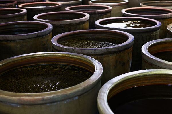 コーヒー豆×酵素のチカラで、美味しく腸活・美容習慣「珈り(かみかざり)酵素」クラウドファンディングを開始！