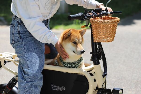 “愛犬と旅する”電動バイク「Doggie(ドギー)」が安全性・走行性能・デザインすべてを見直しリニューアル！
