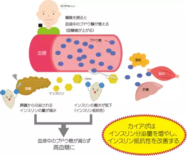 富士産業、独自素材・白甘藷(カイアポ)の機能性表示食品「空腹時血糖値ケア　カイアポタブレット」が受理