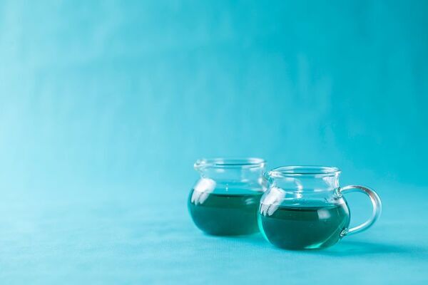 【熱海プリン】チョコミントファン必見！毎年即完売の「チョコミントプリン」、6/14から全店で販売開始