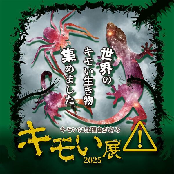 全国各地で生き物ファンを魅了してきた『キモい展』が東京ソラマチ(R)に帰ってきた。スペース634で好評開催中！