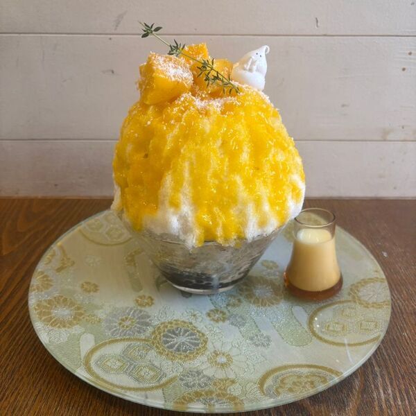 チャンピオンマンゴー × かき氷名店7選！Makuakeで2,596％達成、伊勢丹でも話題の極甘フルーツを使用したコラボかき氷を期間限定で提供開始