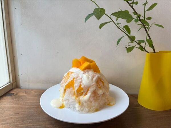 チャンピオンマンゴー × かき氷名店7選！Makuakeで2,596％達成、伊勢丹でも話題の極甘フルーツを使用したコラボかき氷を期間限定で提供開始