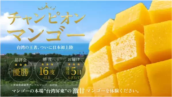 チャンピオンマンゴー × かき氷名店7選！Makuakeで2,596％達成、伊勢丹でも話題の極甘フルーツを使用したコラボかき氷を期間限定で提供開始