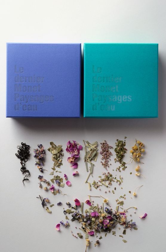 「モネ 睡蓮のとき」豊田展　2025年6月21日(土)愛知・豊田市美術館にて開幕！東京展・京都展で約115万人が来場した究極のモネ展