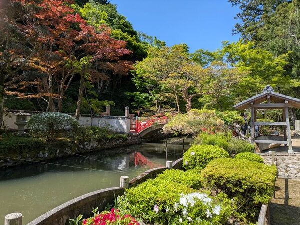 自然豊かな境内を眺めながら写経体験　6月23・24から定期開催