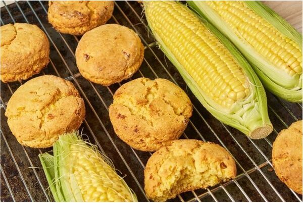 ＼コーンなにたっぷりのとうもろこしが味わえるお祭り／今が旬！伊豆・村の駅で「村のコーン とうもろこしフェスタ」を6/23より開催