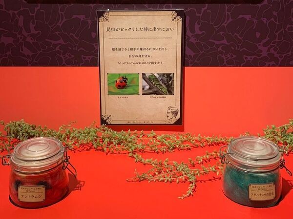 鼻が活動休止？ハマる人続出中の「におい展」が富山で初開催！イオンモール高岡で2025年7月19日から！