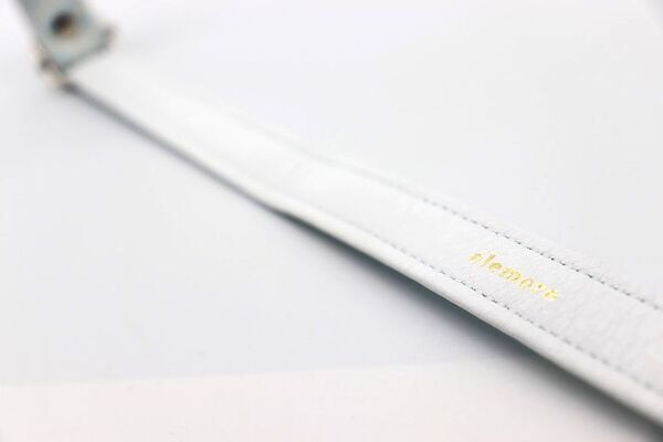 夜の散歩にもっと安心を。蓄光性のレザーを使用した犬猫用首輪「Luminas for dog/cat」Makuakeにて先行販売開始！