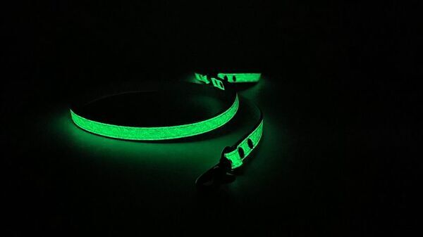 夜の散歩にもっと安心を。蓄光性のレザーを使用した犬猫用首輪「Luminas for dog/cat」Makuakeにて先行販売開始！