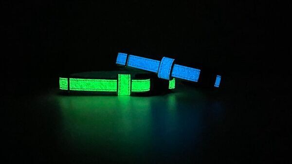 夜の散歩にもっと安心を。蓄光性のレザーを使用した犬猫用首輪「Luminas for dog/cat」Makuakeにて先行販売開始！