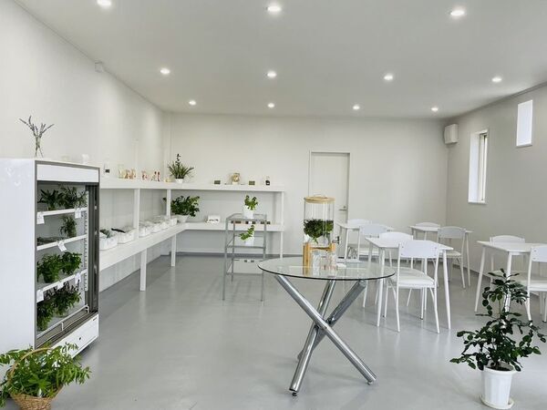 十和田市のハーブカフェ＆ショップ「PROSPERE CAFE」、夏限定！ホーリーバジルを2度楽しめる、ひんやり気持ちいいリフレッシングドリンクを発売