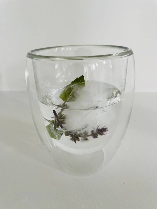 十和田市のハーブカフェ＆ショップ「PROSPERE CAFE」、夏限定！ホーリーバジルを2度楽しめる、ひんやり気持ちいいリフレッシングドリンクを発売