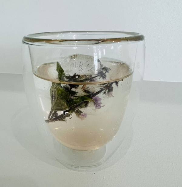 十和田市のハーブカフェ＆ショップ「PROSPERE CAFE」、夏限定！ホーリーバジルを2度楽しめる、ひんやり気持ちいいリフレッシングドリンクを発売