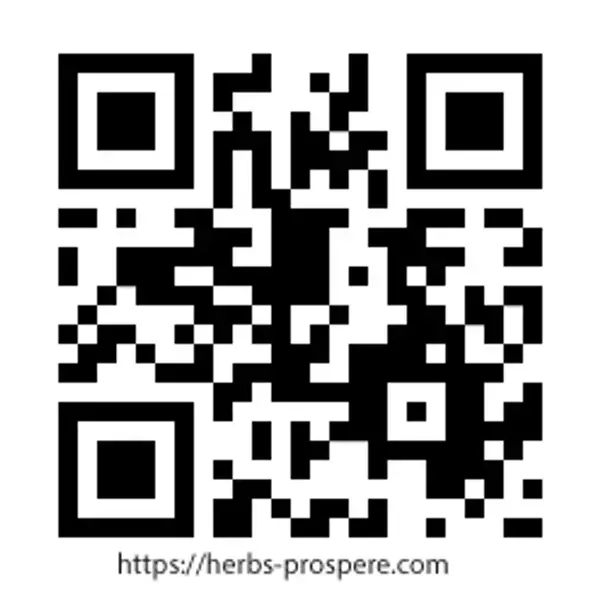 十和田市のハーブカフェ＆ショップ「PROSPERE CAFE」、夏限定！ホーリーバジルを2度楽しめる、ひんやり気持ちいいリフレッシングドリンクを発売