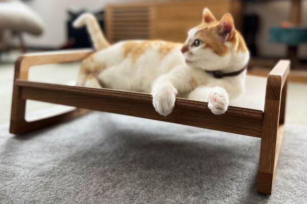 猫がくつろぎやすい形状のシンプルな木製 ネコベッドが登場！7月30日まで「Makuake」にて先行予約販売を実施