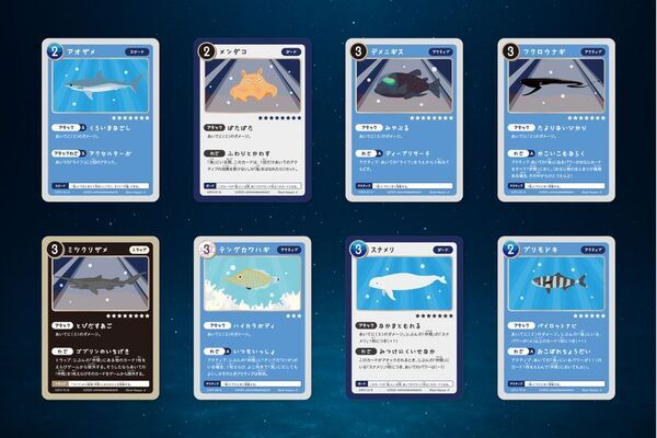子どもが夢中！海の生き物のカードゲーム第3弾リリース　無料タイピングゲーム＆特典イベントもこの夏登場！