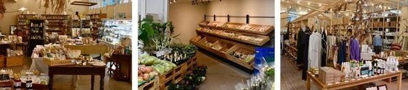 大分を“泊まりながら観光できる”バン専門のレンタカーショップ「GORDON MILLER VANLIFE RENT CAR」7月26日(土)グランドオープン