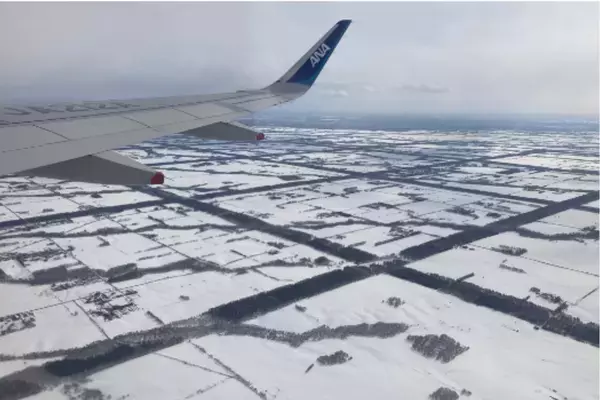 「宇宙から見える森」の謎を解け！北海道・格子状防風林の価値を未来へ繋ぐ、専門家対談番組制作のクラウドファンディングを開始