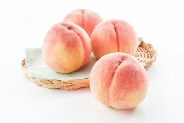 京都伏見桃山町『MOMOテラス』で、モモ愛100％の「MOMOまみれフェス2025」を7/18から開催