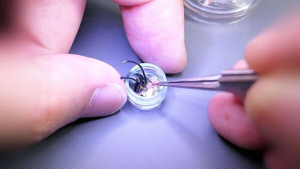 オーツェイド社、6/24より新開発ツイータ搭載の有線イヤホン「intime夜桜」と新開発ケーブルCOAXUSをMakuakeで限定販売