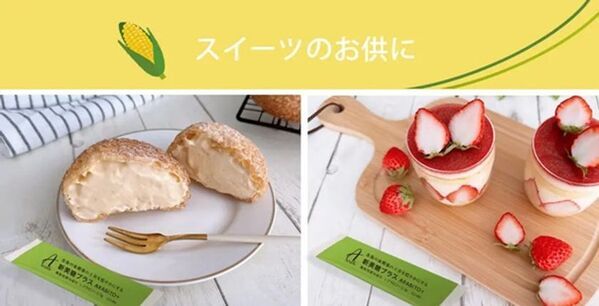 食後の血糖値の上昇を穏やかにする機能性表示食品「新美糖」をリニューアル新発売！