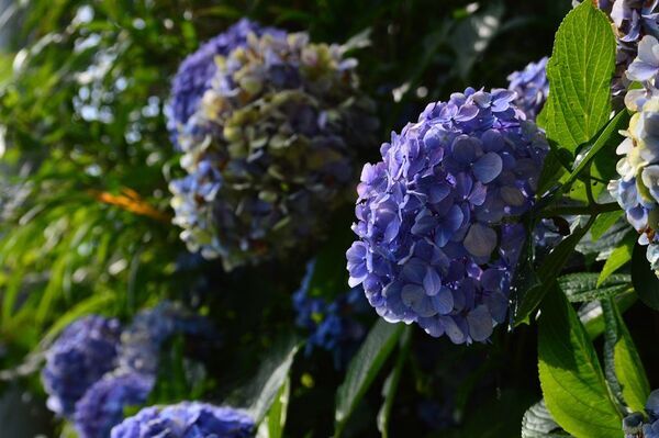 伊豆半島最南端の絶景と歴史を巡る1泊2日・女性限定“フォト・ストーリーテリングの旅”Vol.5(7月開催)参加者募集中！好評シリーズvol.6は10月開催予定