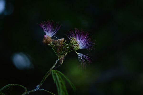 伊豆半島最南端の絶景と歴史を巡る1泊2日・女性限定“フォト・ストーリーテリングの旅”Vol.5(7月開催)参加者募集中！好評シリーズvol.6は10月開催予定