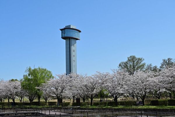 8/30(土)行田市駅発「SL日本遺産のまち行田号」特別運行SLパレオエクスプレス運行区間を初の延伸