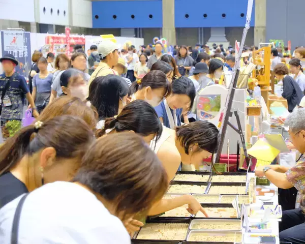 出品作品25,000点以上！“自分だけの特別”が見つかる2日間「瀬戸内ハンドメイドマルシェ2025」8/2(土)・3(日)開催