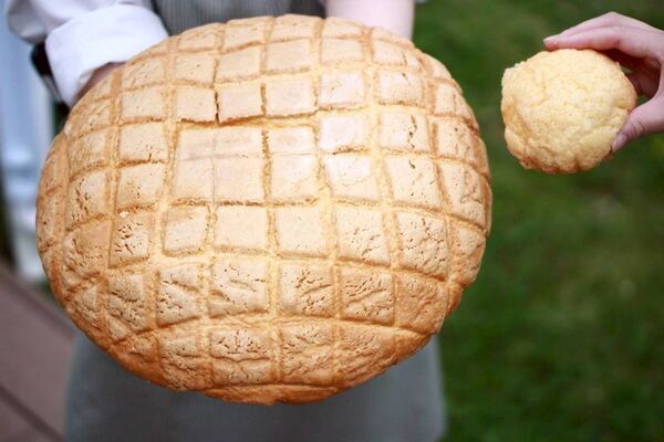 ＼道の駅サーモンパーク千歳 開駅から20周年／　特大グルメ＆チャレンジ企画が満載の感謝祭　6/21(土)～7/6(日)ありがとうの気持ちを込めて開催！