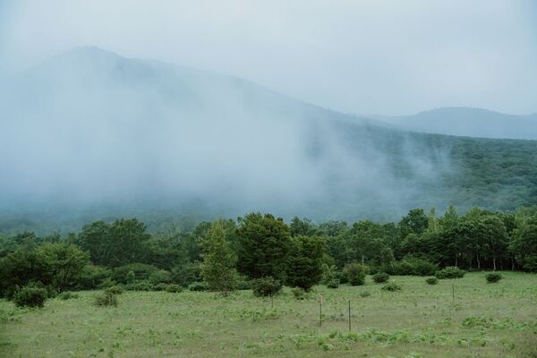 人間ドック×癒しの旅　インバウンド向け「メディカル＆ウェルネスツーリズム」8月から本格始動