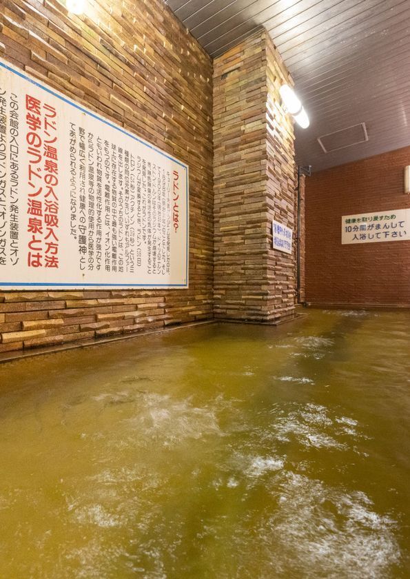 山梨のラドン温泉代表の共著執筆書籍『商売繁盛を実現する思考法』発売！書籍発売を記念し『予約販売キャンペーン』を実施中