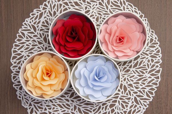 法政大学の学生が大阪書籍印刷と嬉しいけど困る“花のプレゼント問題”解決商品を共同開発　花が咲く手紙「Hanafumi」6月25日から文具女子博トーキョーで先行発売