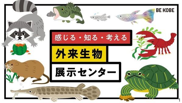 神戸の大学・専門学校・企業・行政と連携　自由研究がもっと楽しくなる！「体験で学ぶ」夏の2日間