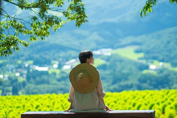 標高1,000m、笑顔と大自然があふれるフラワー＆アクティビティフィールド　岐阜県郡上市「ひるがのピクニックガーデン」7月12日OPEN！東海地区初※！マウンテンカートが新登場！！