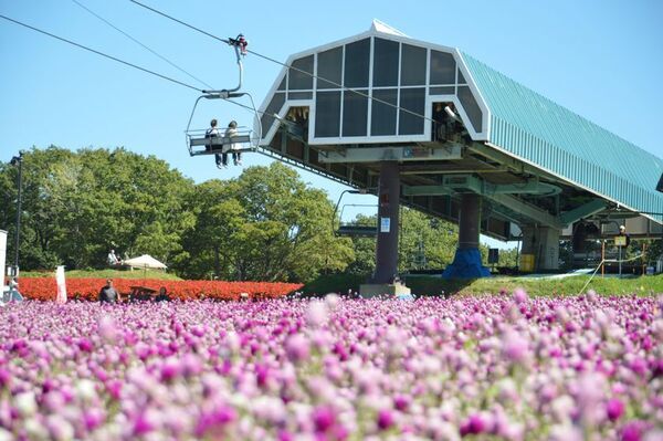 標高1,000m、笑顔と大自然があふれるフラワー＆アクティビティフィールド　岐阜県郡上市「ひるがのピクニックガーデン」7月12日OPEN！東海地区初※！マウンテンカートが新登場！！