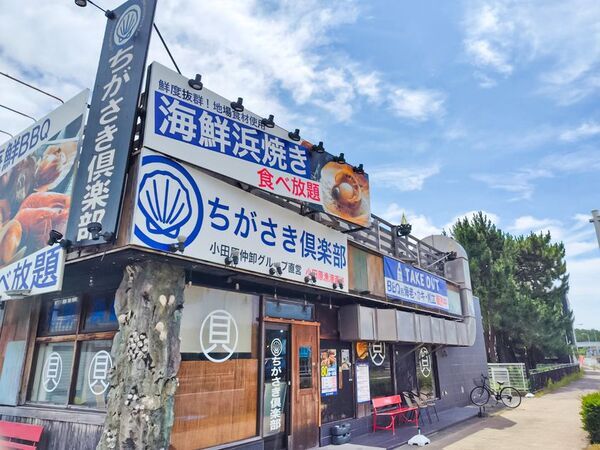 鮮度抜群の活鮑をプレゼント！！湘南・茅ヶ崎の海鮮BBQ食べ放題専門店“ちがさき倶楽部”が店舗改装記念として『活鮑プレゼントキャンペーン』を開催！