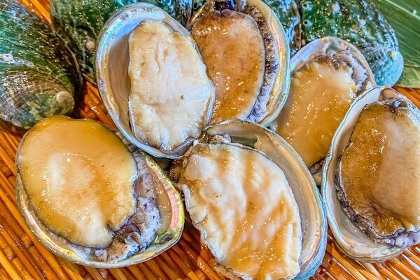 鮮度抜群の活鮑をプレゼント！！湘南・茅ヶ崎の海鮮BBQ食べ放題専門店“ちがさき倶楽部”が店舗改装記念として『活鮑プレゼントキャンペーン』を開催！