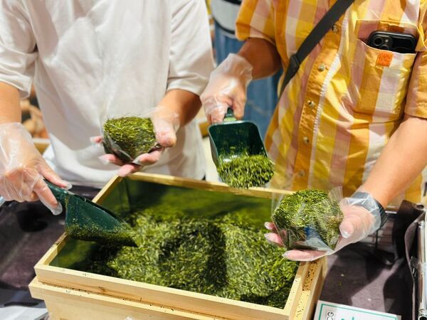 五感で味わう、南部茶の世界へようこそ！山梨・森の中の温泉 なんぶの湯で「お風呂の日」スペシャルイベントを開催！