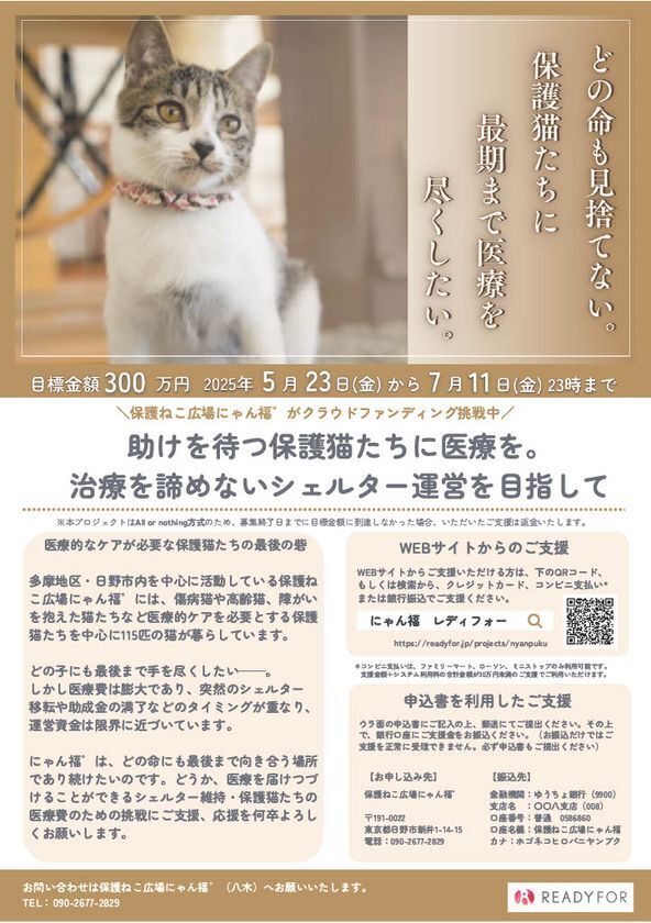 保護猫たちの治療を諦めないシェルター運営を目指し、7月11日までクラウドファンディングを実施