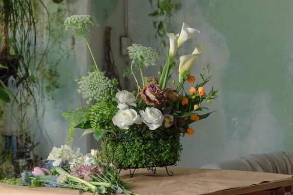 アグリ王とドゥビーアンドカンパニー、世界初の“土を使わないベビーティアーズおよび水耕花苗”を植物工場で通年量産化