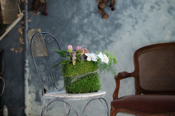 アグリ王とドゥビーアンドカンパニー、世界初の“土を使わないベビーティアーズおよび水耕花苗”を植物工場で通年量産化