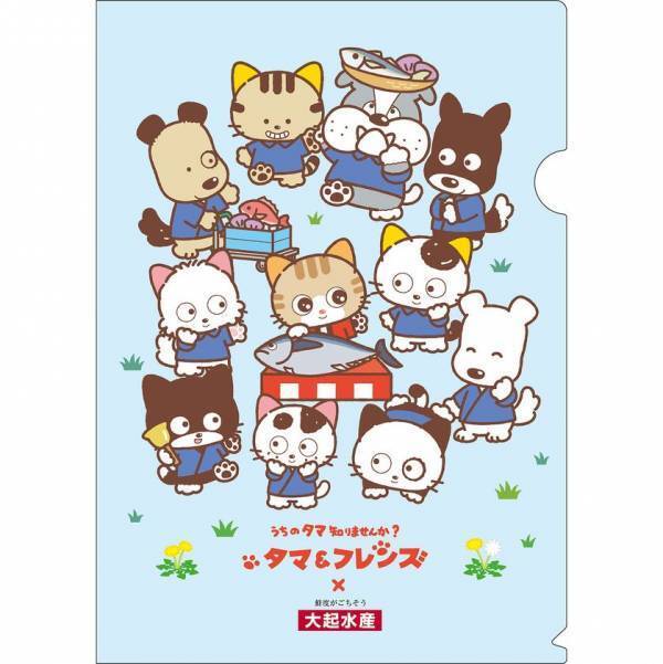 「タマ&フレンズ～うちのタマ知りませんか？～」が回転寿司「大起水産」とキャンペーン初コラボ！オリジナルキャラクターも初登場！