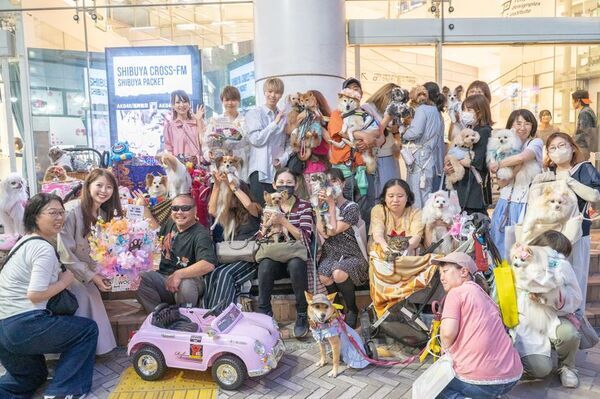 “ペット”が主役のラジオ番組「にゃんドル☆わんドル」放送開始1周年｜番組を介したコミュニティに成長