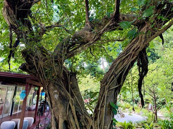 備瀬のあそびば、体験型ウェディングオーダーメイドプランを開始