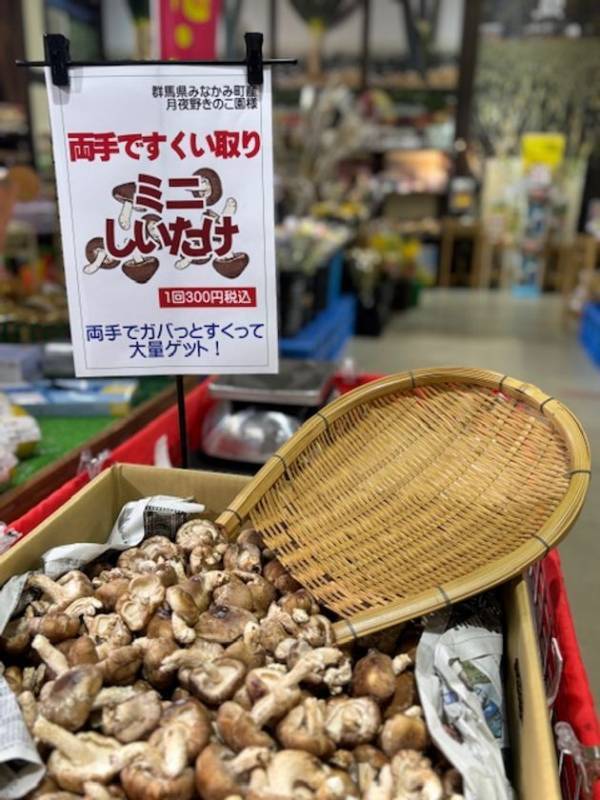 ＼7月も毎週末がお楽しみ！／群馬県渋川市『上州・村の駅』にて『上州・毎週お野菜イベント』を開催！