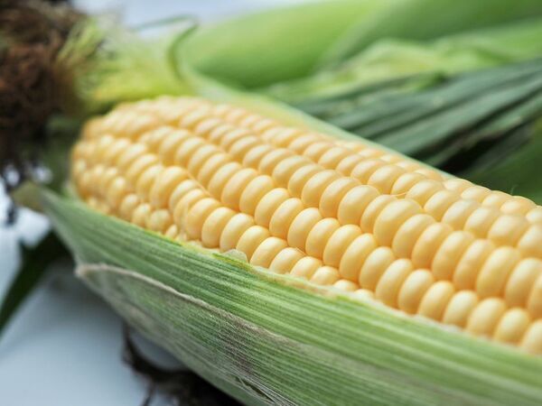 ＼7月も毎週末がお楽しみ！／群馬県渋川市『上州・村の駅』にて『上州・毎週お野菜イベント』を開催！