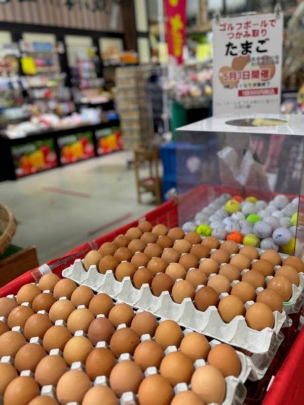 ＼7月も毎週末がお楽しみ！／群馬県渋川市『上州・村の駅』にて『上州・毎週お野菜イベント』を開催！