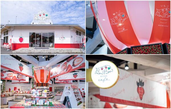 ＜いちご専門店の道の駅＞静岡県産いちごを削ったかき氷「けずりいちごおり」第2弾が新登場！今年は真っ赤なかき氷で、夏を鮮やかに盛り上げます！